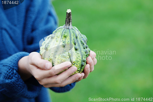 Image of autumn