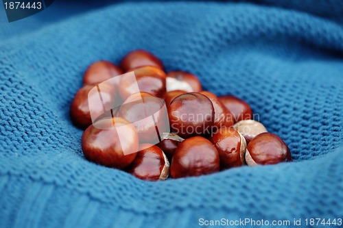 Image of sweater with chestnuts