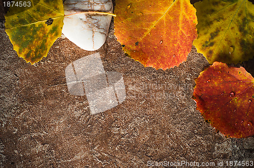 Image of Autumn card of colored leafs