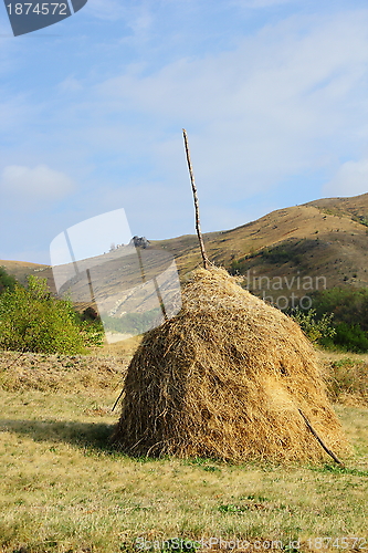 Image of hay in the field