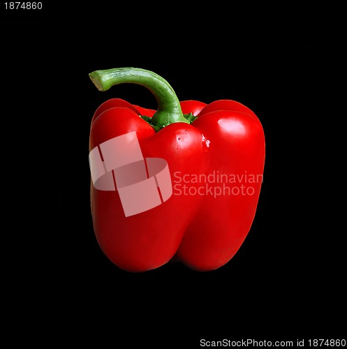 Image of Red sweet pepper