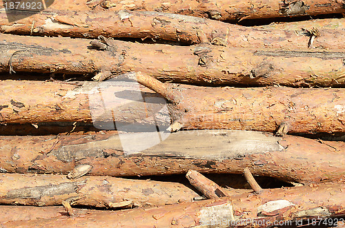 Image of wooden logs