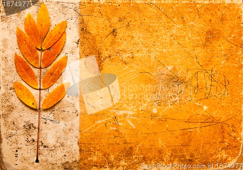 Image of grunge background