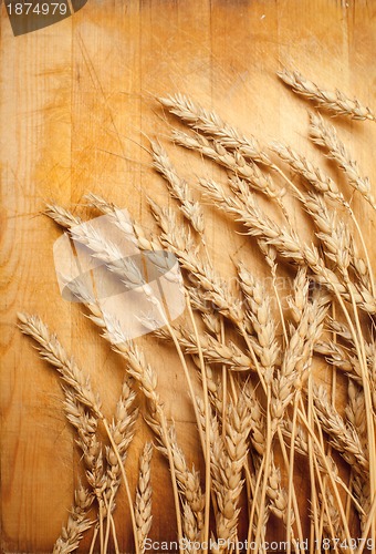 Image of ears of wheat