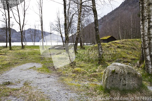 Image of trees with grassland and mountains