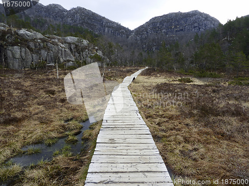 Image of wooden track in rural landscape