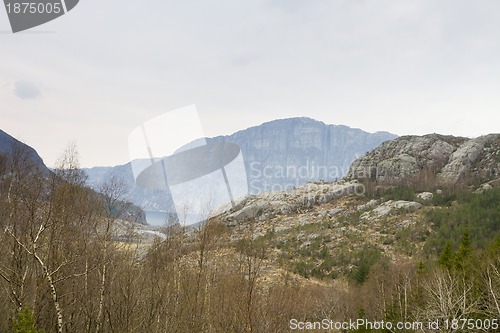 Image of forest near fjord in norway