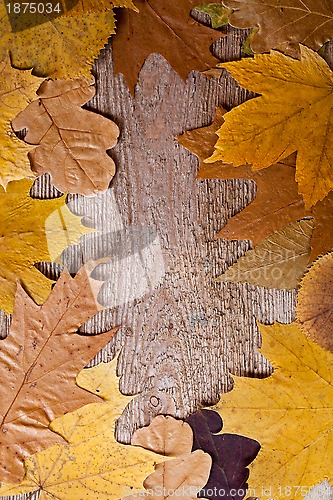 Image of autumn leaves frame 