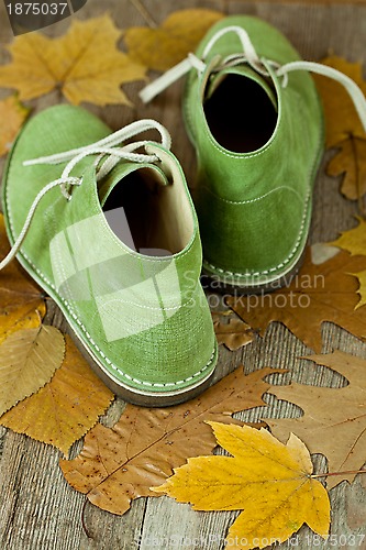 Image of green leather boots and yellow leaves