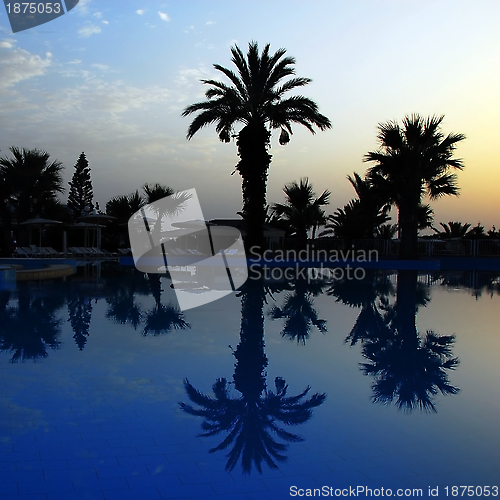 Image of Sunrise on beach