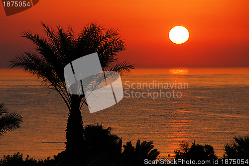 Image of Gorgeous sunrise over sea