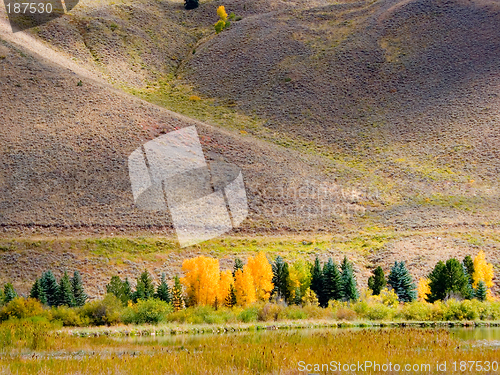 Image of Fall color in Estes Park, Colorado