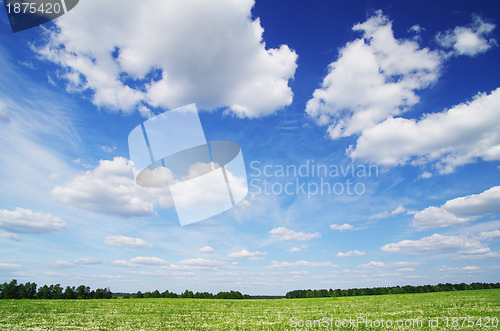 Image of field 