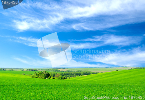 Image of green field and blue sky