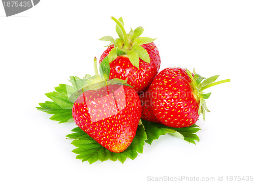 Image of strawberry 