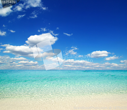 Image of  sea