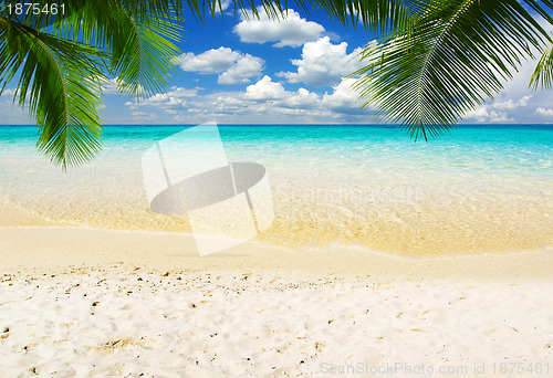 Image of  sea