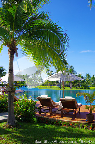 Image of tropical swimming pool 