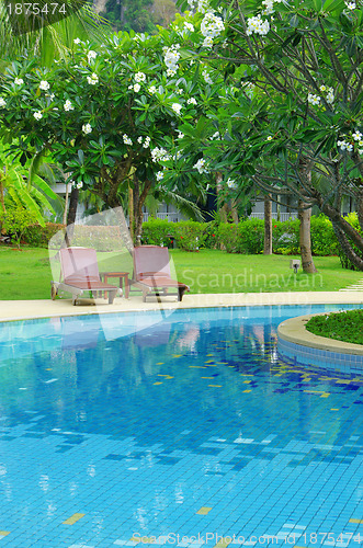Image of  swimming pool 