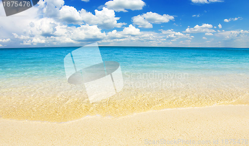 Image of  sea