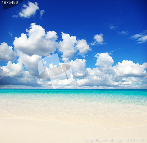 Image of  sea