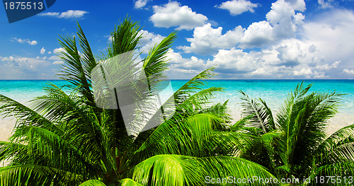 Image of  sea