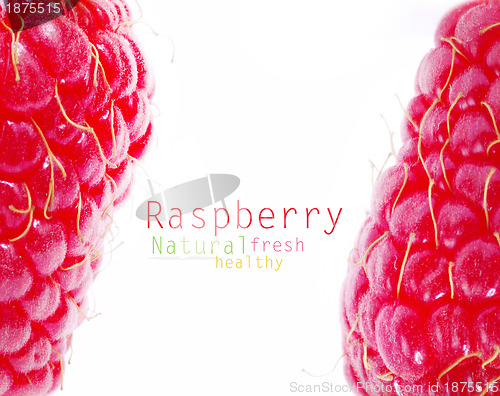 Image of fresh raspberry