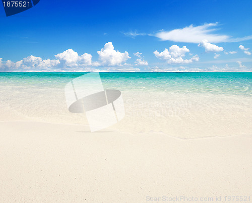 Image of  sea