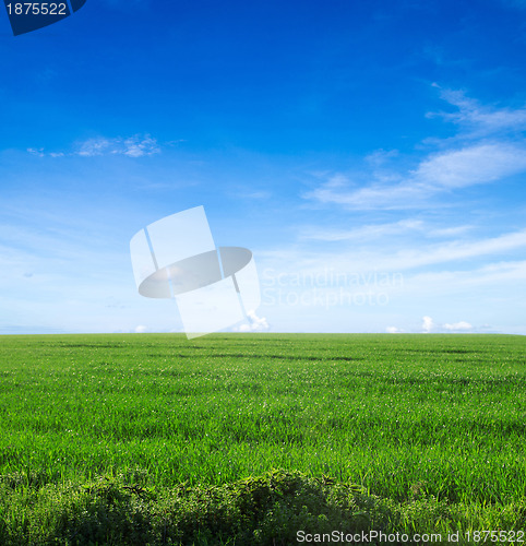 Image of field