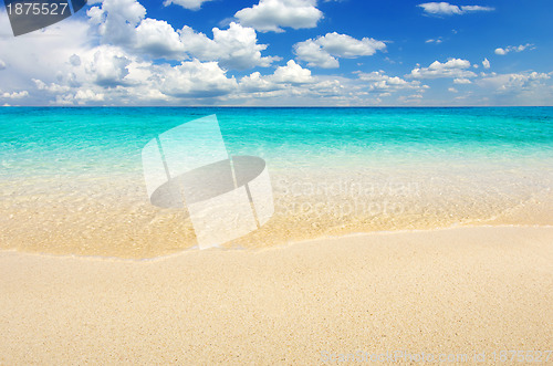 Image of  sea