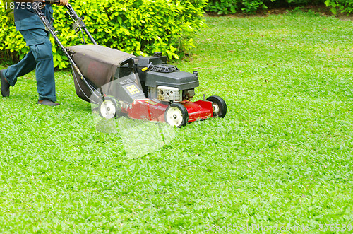 Image of  mowing the lawn