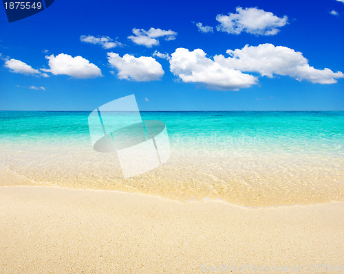Image of  sea