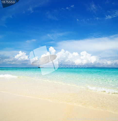 Image of  sea