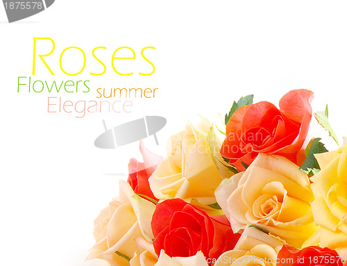 Image of Roses