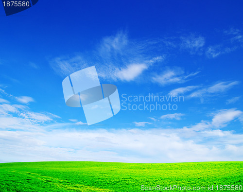 Image of field
