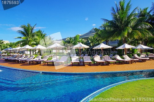 Image of  pool with coconut tree