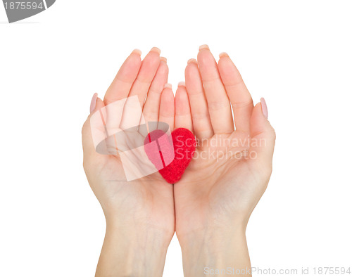 Image of Hands holding the heart 