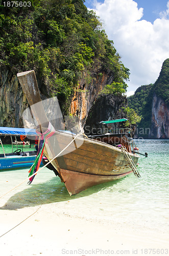 Image of Tropical beach