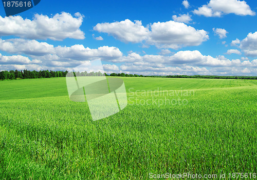 Image of green field
