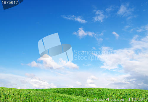 Image of field