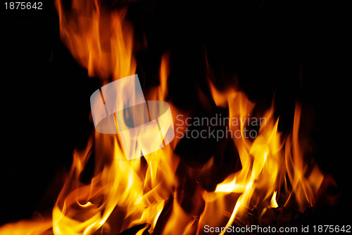 Image of  fire 