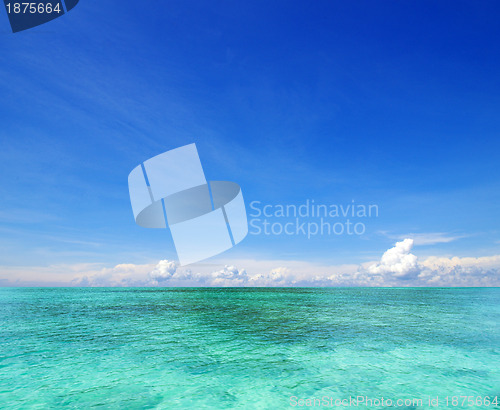 Image of  sea