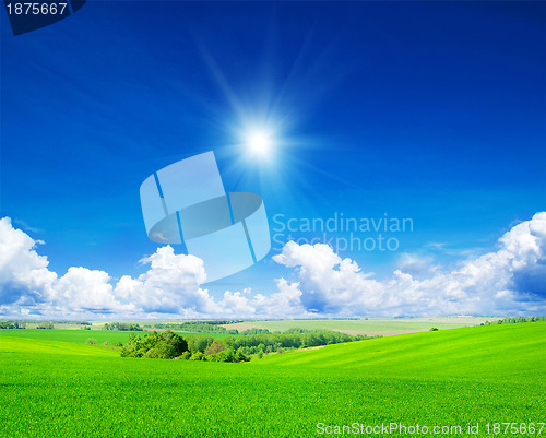 Image of green field and blue sky