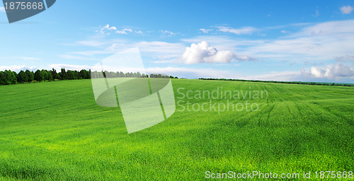 Image of green field