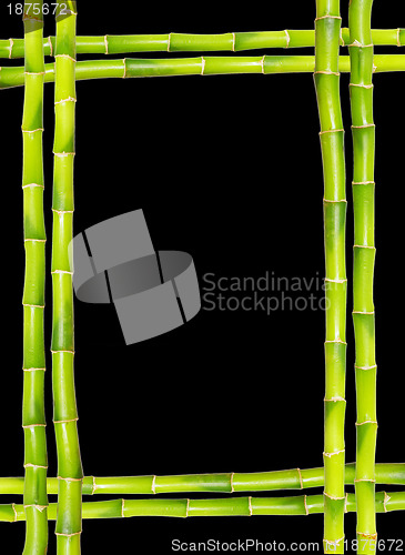 Image of  bamboo frame