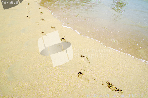 Image of footprints in the sand