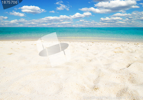 Image of  sea
