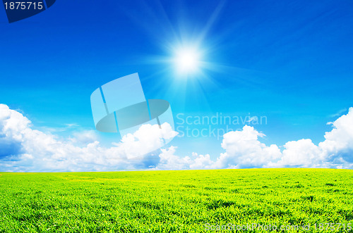 Image of field of grass and perfect sky