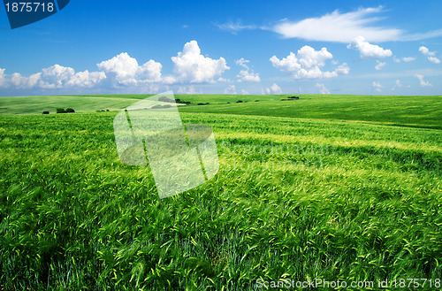 Image of field 