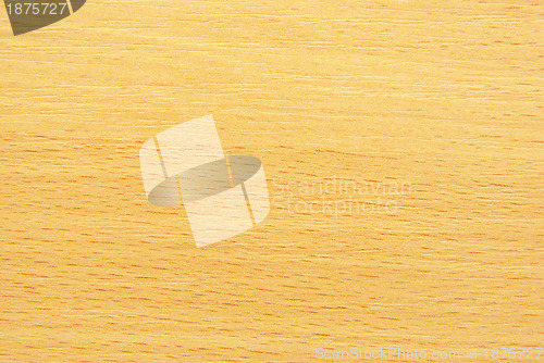Image of  wood background